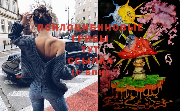ешки Балахна