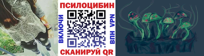 Галлюциногенные грибы Cubensis  нарко площадка официальный сайт  Балей 